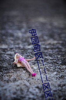 伊园甸区二二二区区无限制版体积小