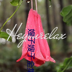 嫂子嫂子全集 （铮铮铁汉）