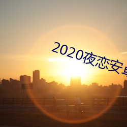 2020夜恋安卓(zhuó)支(zhī)持