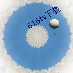 616tv下(下)载