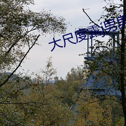 大(大)尺(尺)度露j男男电影(影)