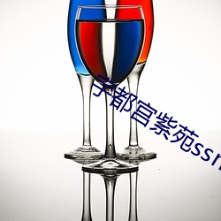 宇都宫紫苑ssni