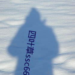 四葉草ssc66555