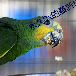 永久8x的最新域名