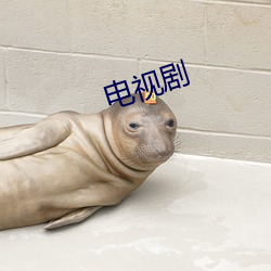电视剧(劇)