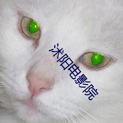 沭陽電影院