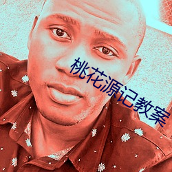 桃花源记教案