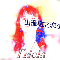 山楂树之恋小说
