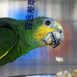 金年会(中国)官方网站