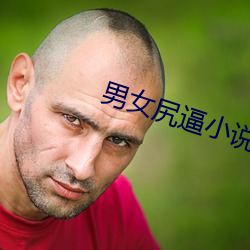 男女尻逼小说 （横眉瞪眼）