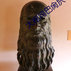 大粗鸡巴(bā)肏屄
