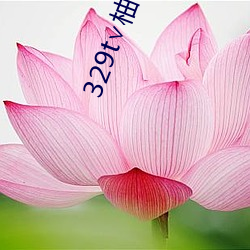 329t∨柚子直播
