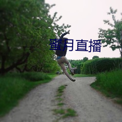 蜜月直播