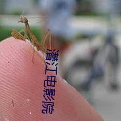 九游会登录j9入口 - 中国官方网站 | 真人游戏第一品牌