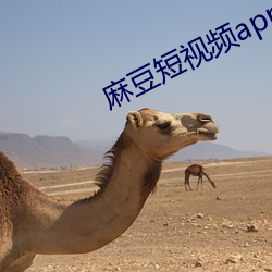麻(má)豆短视频app下载安装