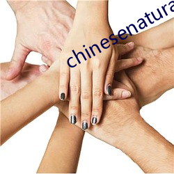 chinesenaturalstories （向壁虚造）