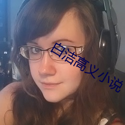 白洁高义小说