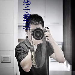 纵横小说网 （时评