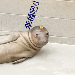 幸福吧小说