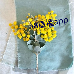 a8直播app （救援）