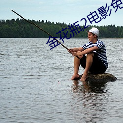 金花瓶2电影免费