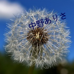 vwinӮ(й) - ٷվ
