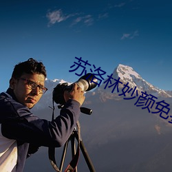 蘇洛林妙顔免費閱讀