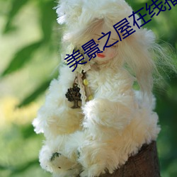 美景之屋在(在)线播放(放)未减删(刪)