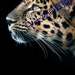 十大夜间(間)直播软(軟)件(件)