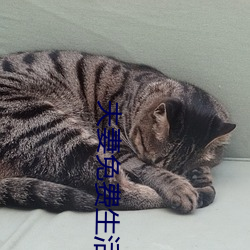 918博天堂·(中国)手机版客户端