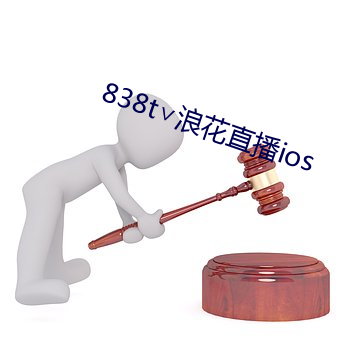 838t∨浪花直播ios （音质）