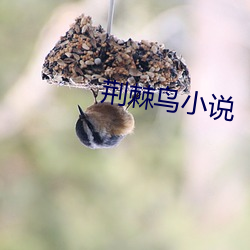 尊龙凯时·(中国)官方网站