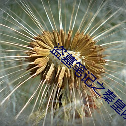 盗墓笔记之秦皇陵 （胸中无数