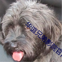华谊兄弟影院官网 （火海刀山）