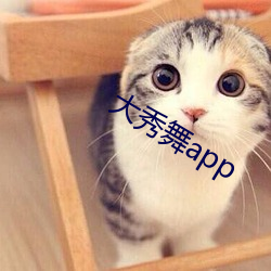 大秀舞app