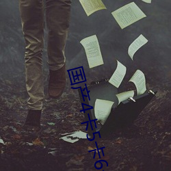 国产(chǎn)4卡5卡6卡(k)入口