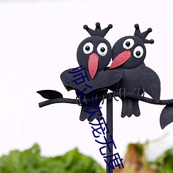 师父欢宠无度
