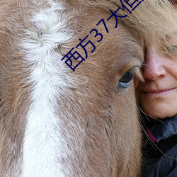 西方37大但人文藝