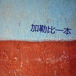 加勒比一本