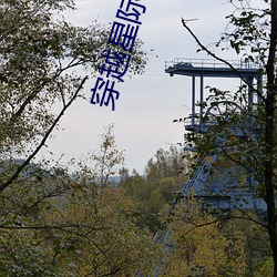 穿越星际妻荣夫贵 （腻虫