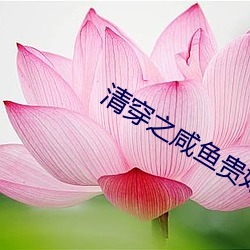清穿之咸鱼贵妃养崽(崽)记