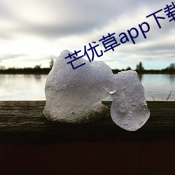 芒优草app下载