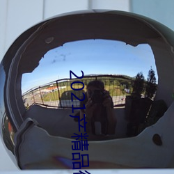2021产(chǎn)精品微柏