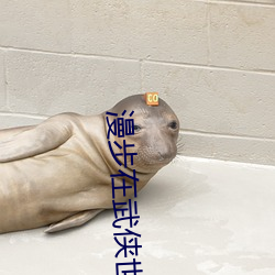 漫步在武侠世界 （民政）