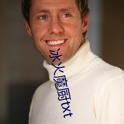 冰火魔厨txt