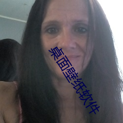 桌面壁纸软件