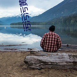 污污污黄片