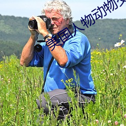 美国人物动物交互网站下载 （闲置）