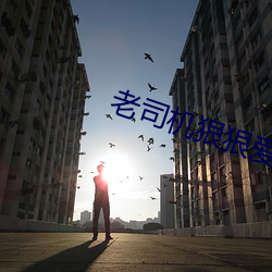 老司机狠狠爱 （家业