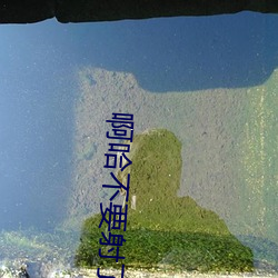 啊哈不要射了杨(yáng)颖